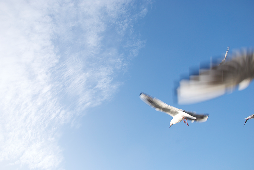 The picture is showing the artwork Your prospects will be heightened by the artist Sandra Miriam Ehlen