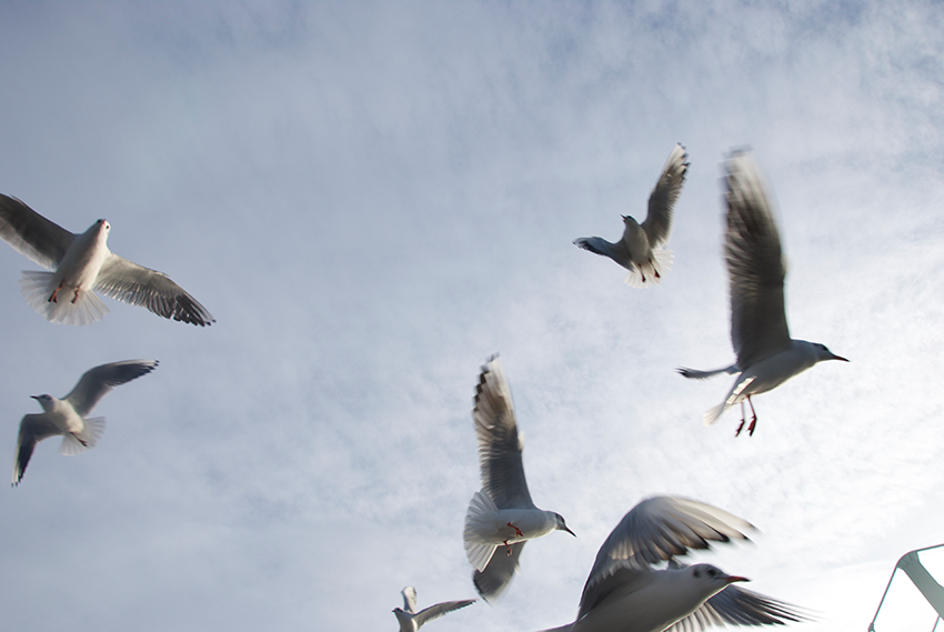 The picture is showing the artwork Your prospects will be heightened by the artist Sandra Miriam Ehlen