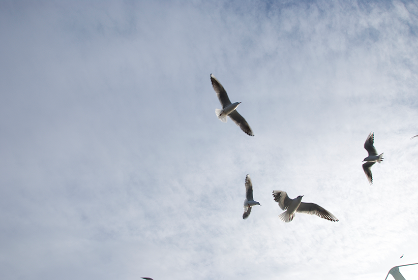 The picture is showing the artwork Your prospects will be heightened by the artist Sandra Miriam Ehlen