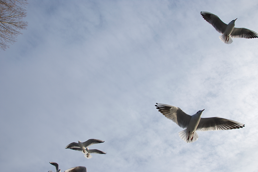 The picture is showing the artwork Your prospects will be heightened by the artist Sandra Miriam Ehlen