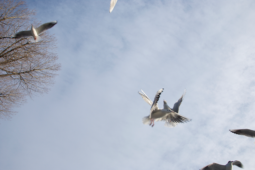 The picture is showing the artwork Your prospects will be heightened by the artist Sandra Miriam Ehlen