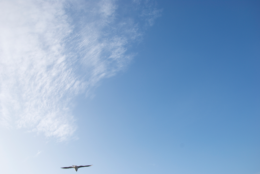 The picture is showing the artwork Your prospects will be heightened by the artist Sandra Miriam Ehlen