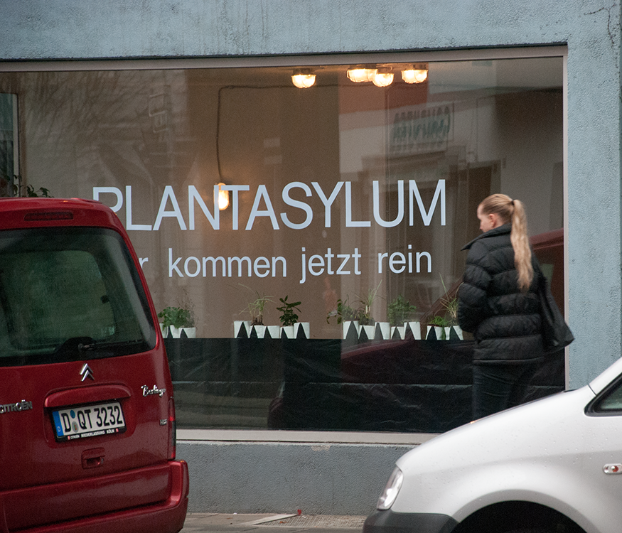 The picture is showing the installation Plantasylum by the artist Sandra Miriam Ehlen